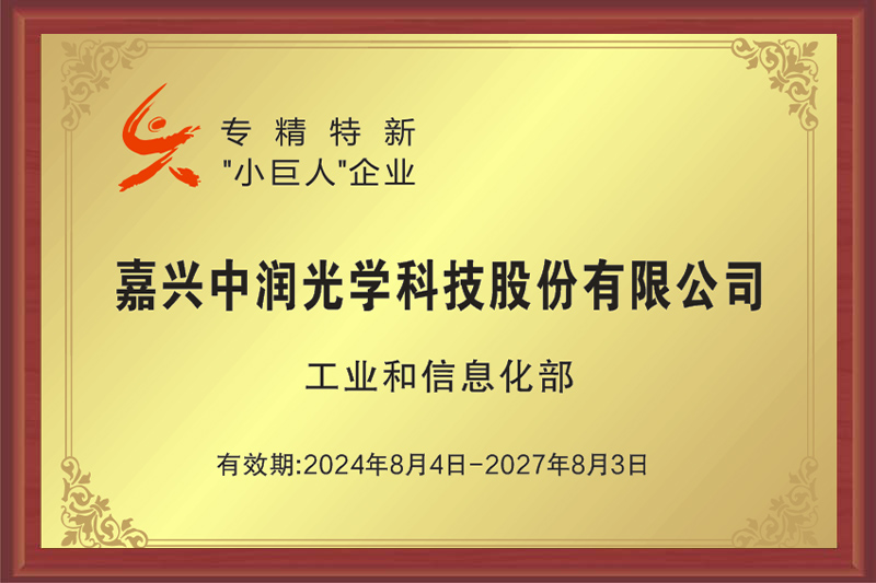 國家級專精特新“ 小巨人”企業(yè)